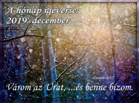 2019 - DECEMBER HÓNAP IGEVERSE